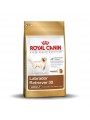 Royal canin artikle do daljnjeg nećemo biti u prilici da isporučujemo ---Royal Canin Labrador Retriever Adult 12kg